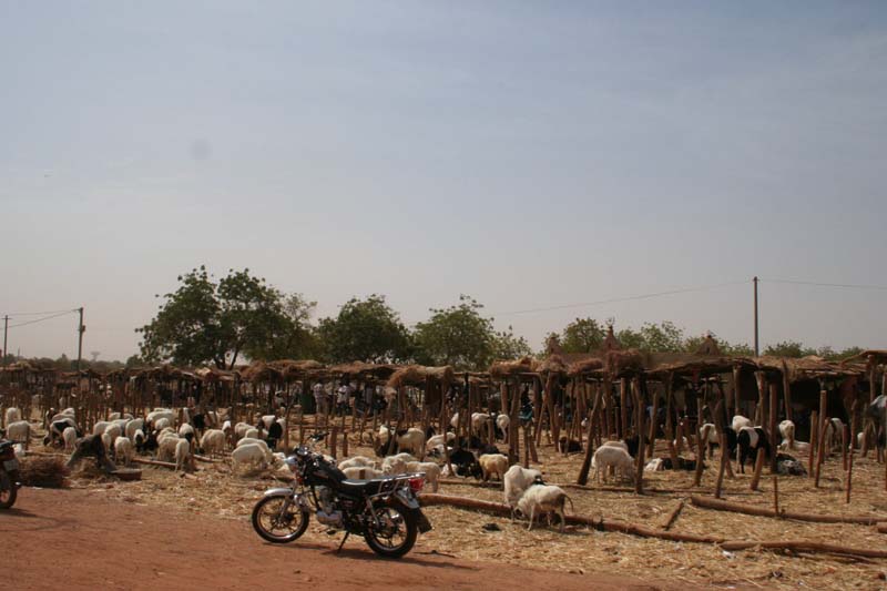 Burkina Faso - Natale 2007- gennaio 2008 - progetto ouatara - foto0265