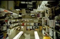 bethesda 1995 - img013
