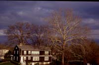 bethesda 1995 - img016