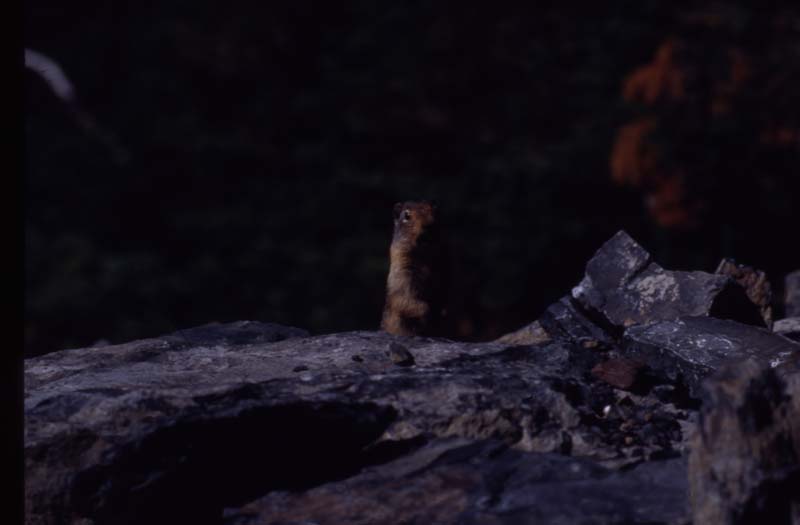 canada 1996 - img369