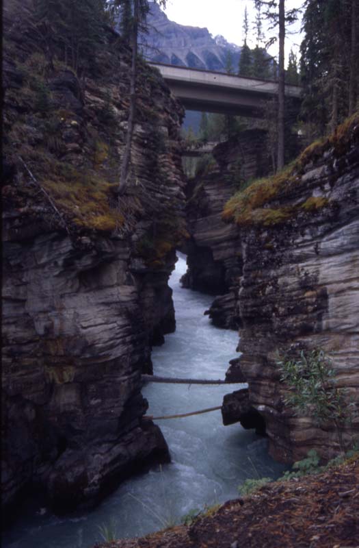 canada 1996 - img379