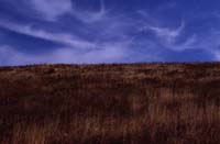 canada 1996 - img403