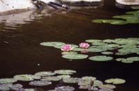 canada 1996 - img438