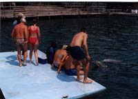 honduras 2000 - img153