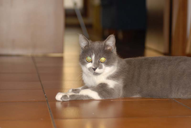 DSC_1136