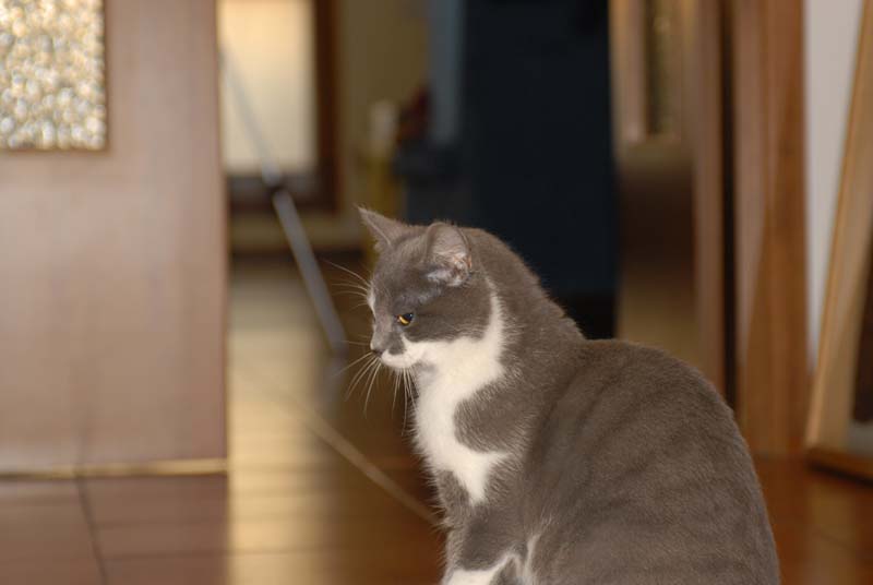 DSC_1144