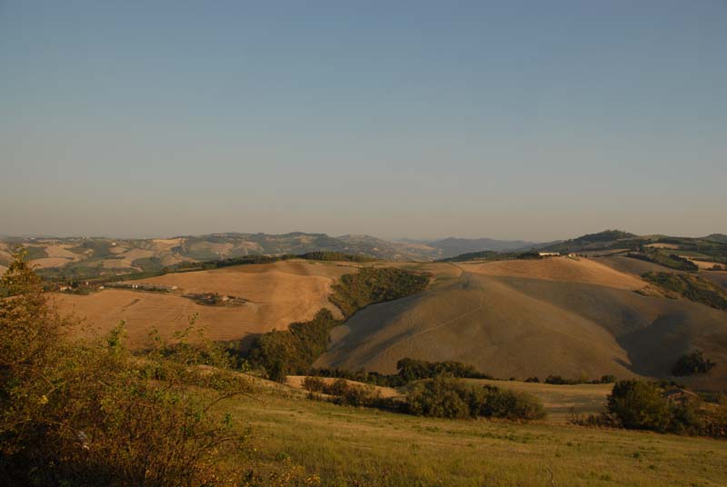 DSC_6068