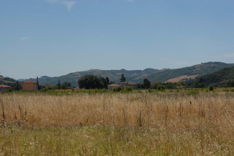DSC_6295