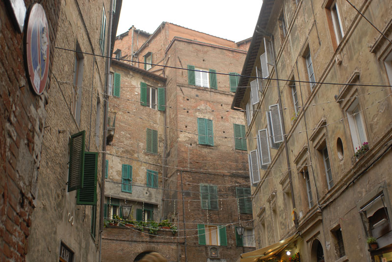 DSC_4983