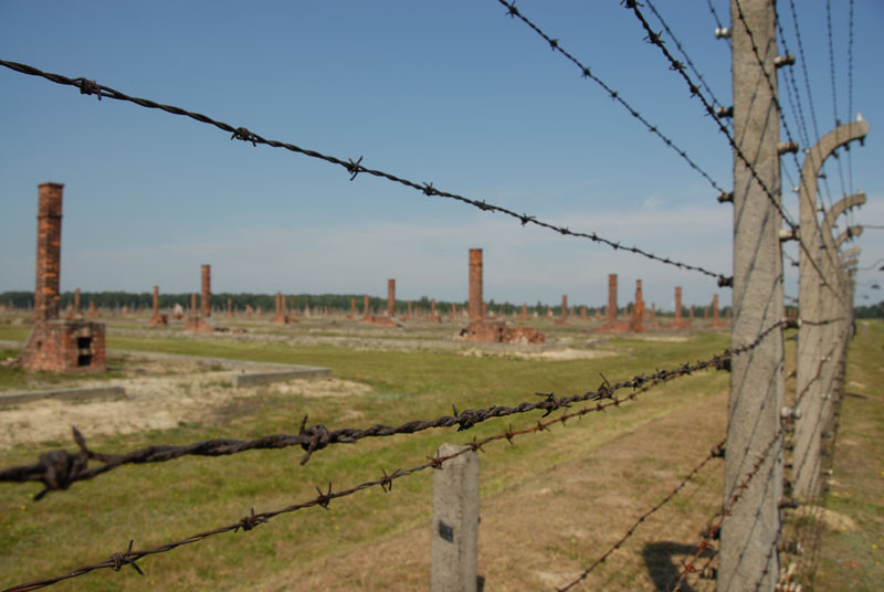 birkenau  recinzione particolare