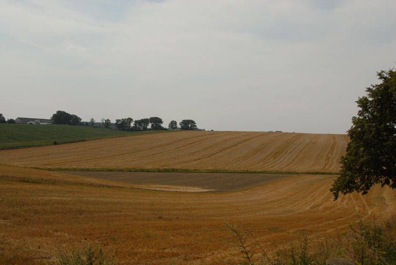 campo della bassa slesia