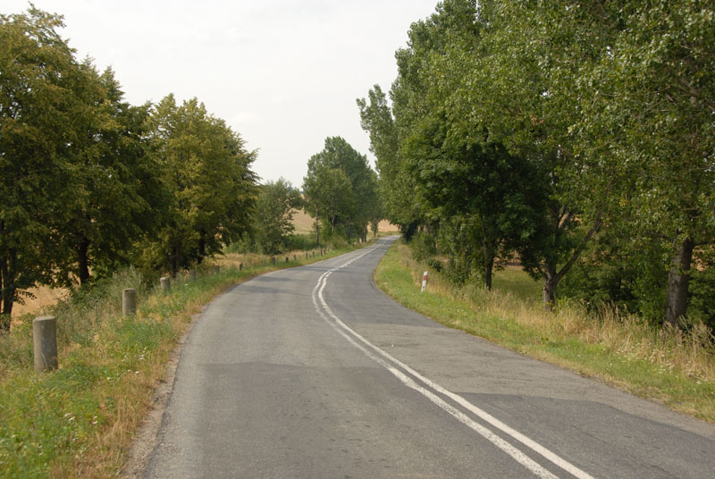strade di campagna