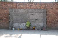 auschiwtz  - il muro