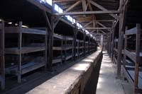 birkenau  - baracche interno