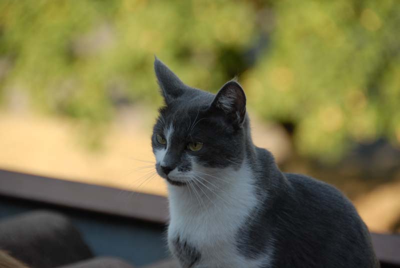 DSC_6022