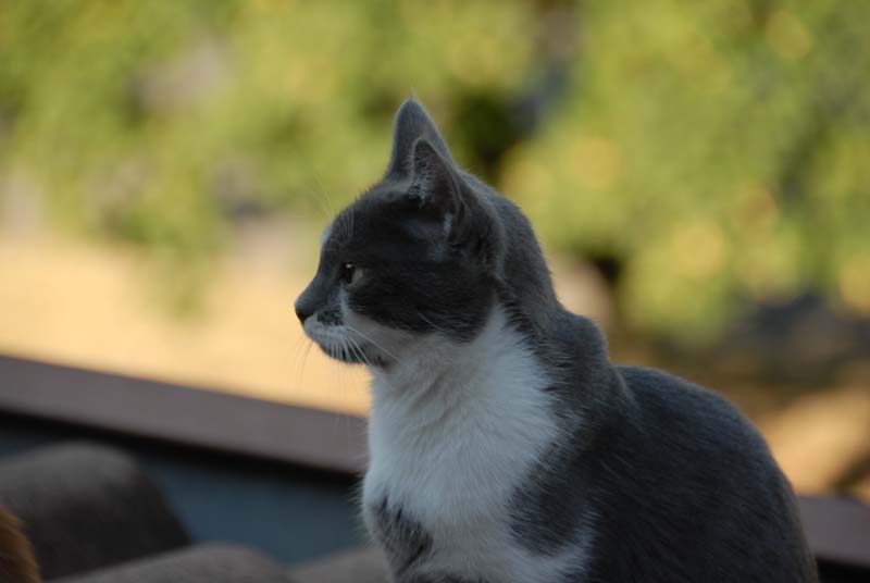 DSC_6023