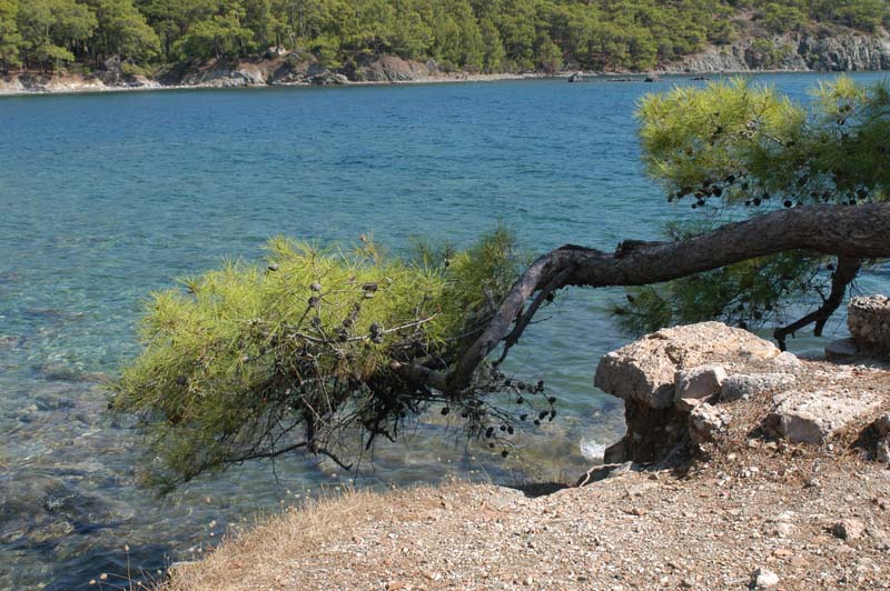 antalya DSC_4251