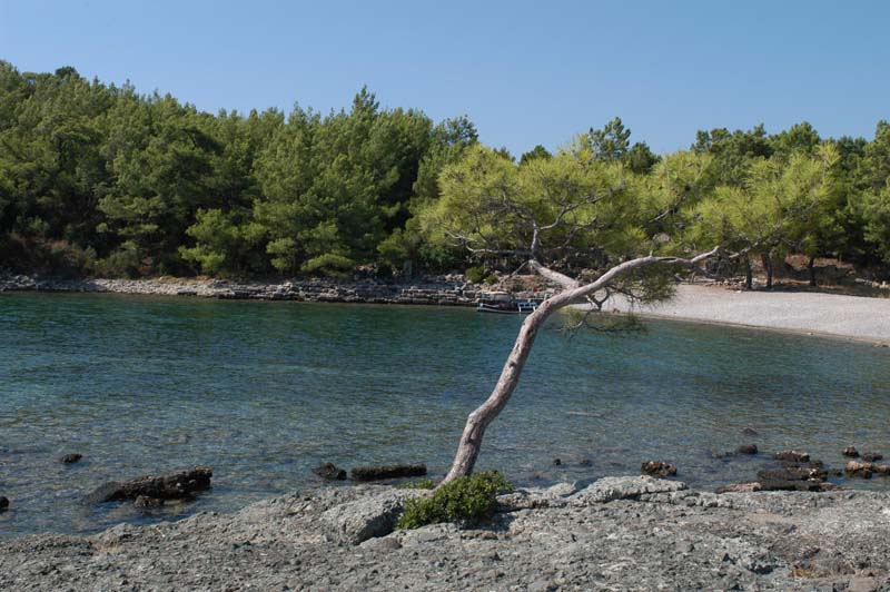 antalya DSC_4261