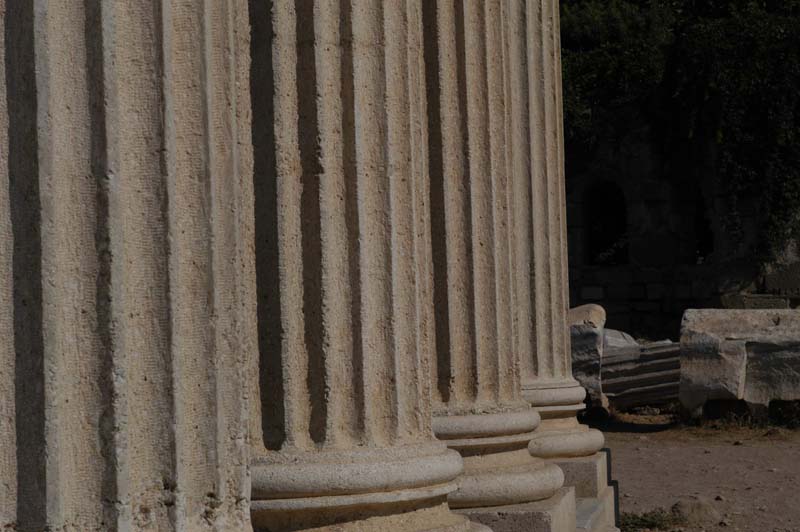 side DSC_3849
