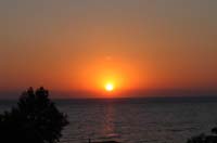 alba DSC_4519