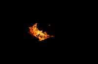 chimera DSC_4459
