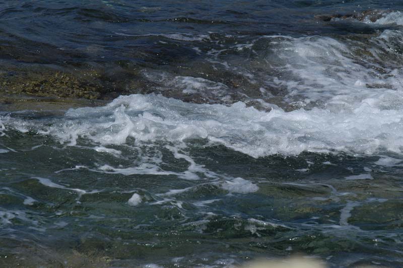 DSC_1134