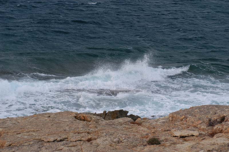 DSC_1770