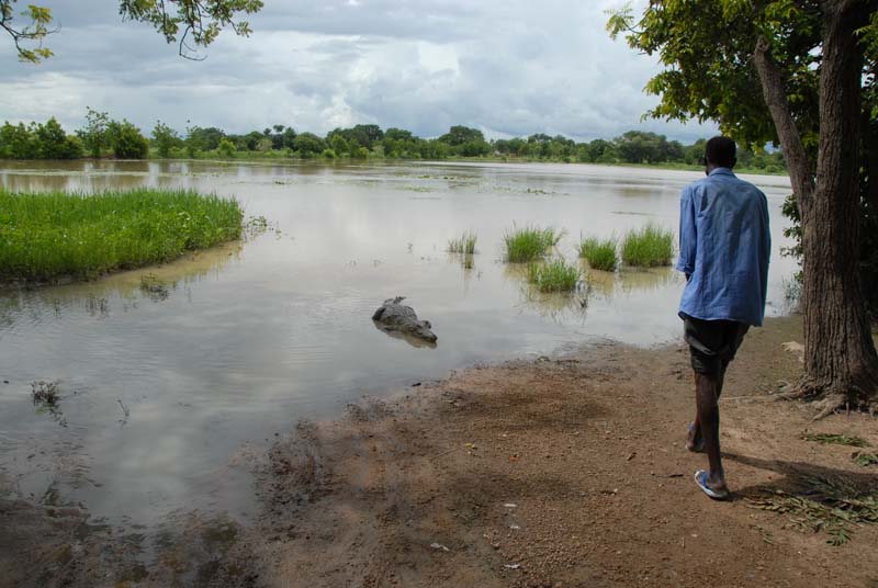 progetto ouatara - burkina faso - agosto 2008 foto n00002