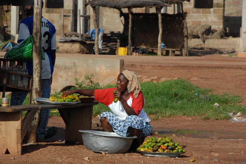 progetto ouatara - burkina faso - agosto 2008 foto n00092