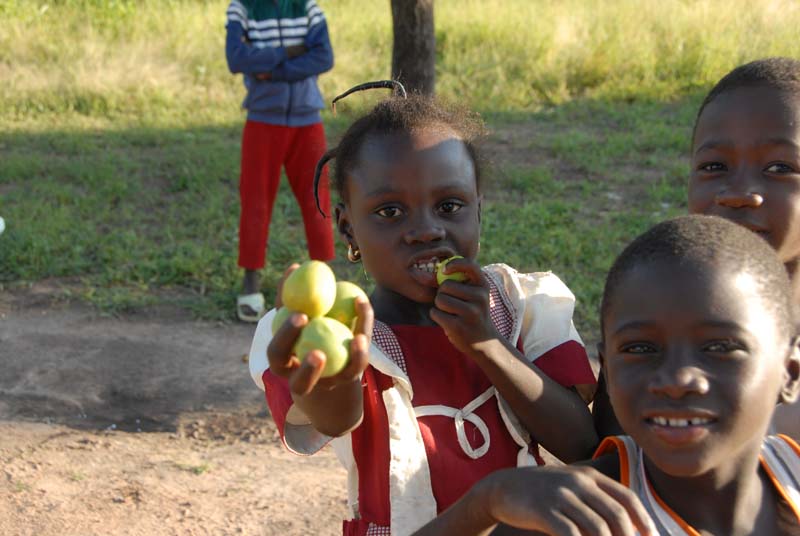 progetto ouatara - burkina faso - agosto 2008 foto n00440