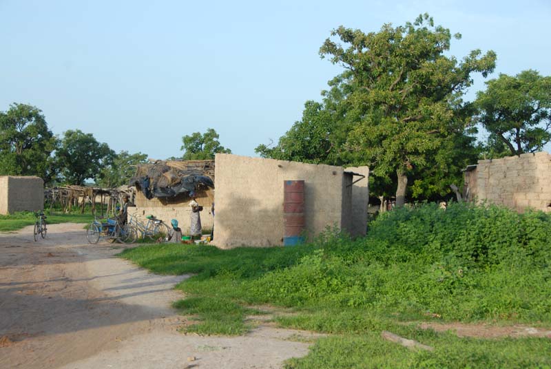 progetto ouatara - burkina faso - agosto 2008 foto n00470