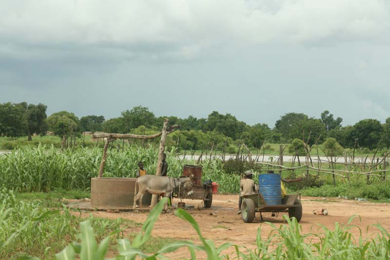 progetto ouatara - burkina faso - agosto 2008 foto n00555
