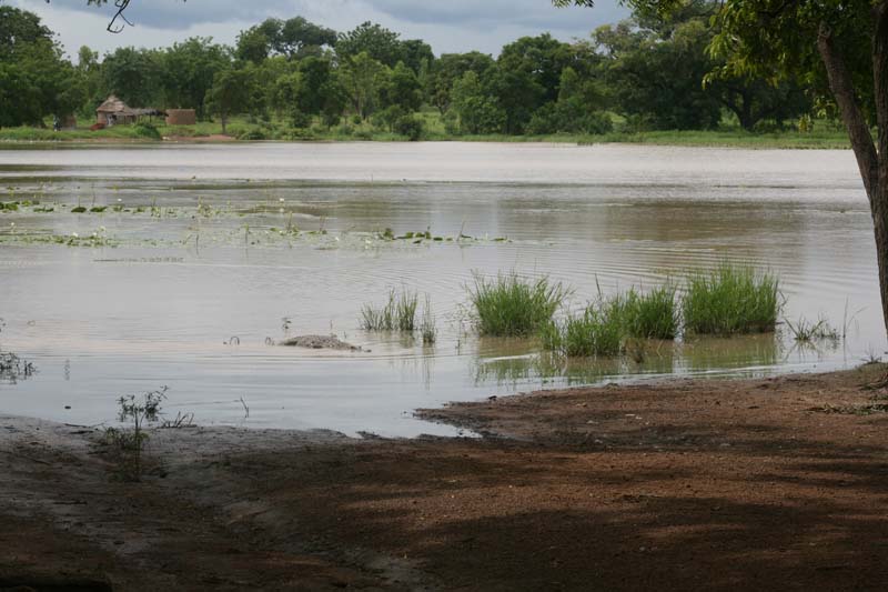 progetto ouatara - burkina faso - agosto 2008 foto n00556