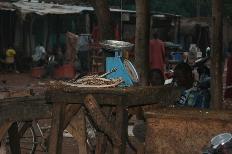 progetto ouatara - burkina faso - agosto 2008 foto n00578