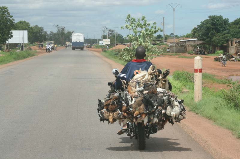 progetto ouatara - burkina faso - agosto 2008 foto n00586