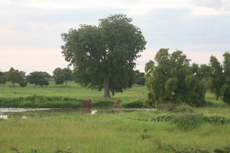 progetto ouatara - burkina faso - agosto 2008 foto n00590