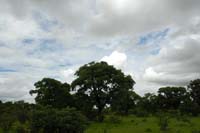 progetto ouatara - burkina faso - agosto 2008 foto n00058