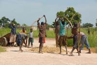 progetto ouatara - burkina faso - agosto 2008 foto n00464