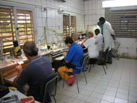 progetto ouatara - burkina faso - agosto 2008 foto n00530