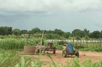 progetto ouatara - burkina faso - agosto 2008 foto n00555