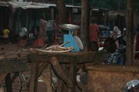 progetto ouatara - burkina faso - agosto 2008 foto n00578