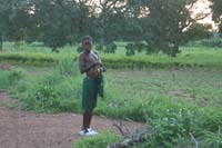 progetto ouatara - burkina faso - agosto 2008 foto n00589