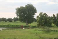 progetto ouatara - burkina faso - agosto 2008 foto n00590