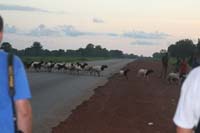 progetto ouatara - burkina faso - agosto 2008 foto n00592