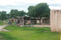 progetto ouatara - burkina faso - agosto 2008 foto n00649