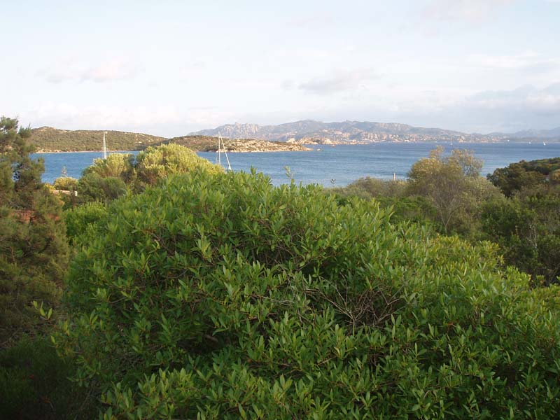 caprera cvc 024