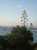 DSCN5715