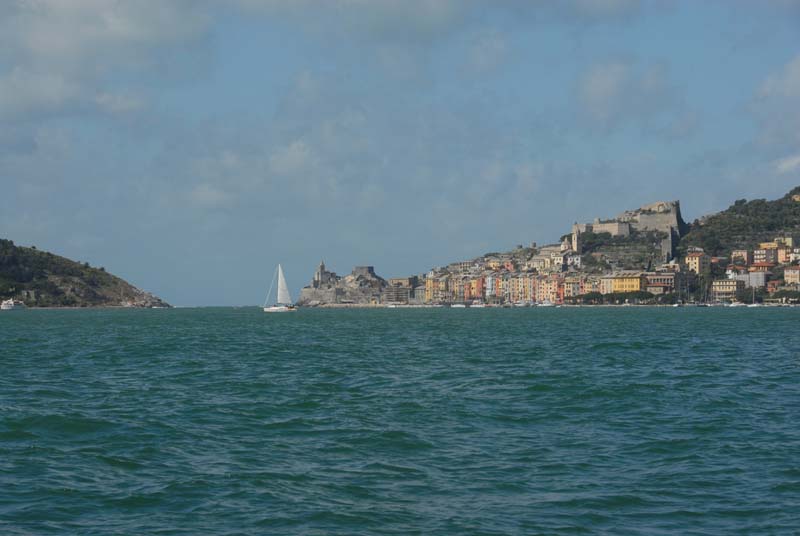 DSC_1595x