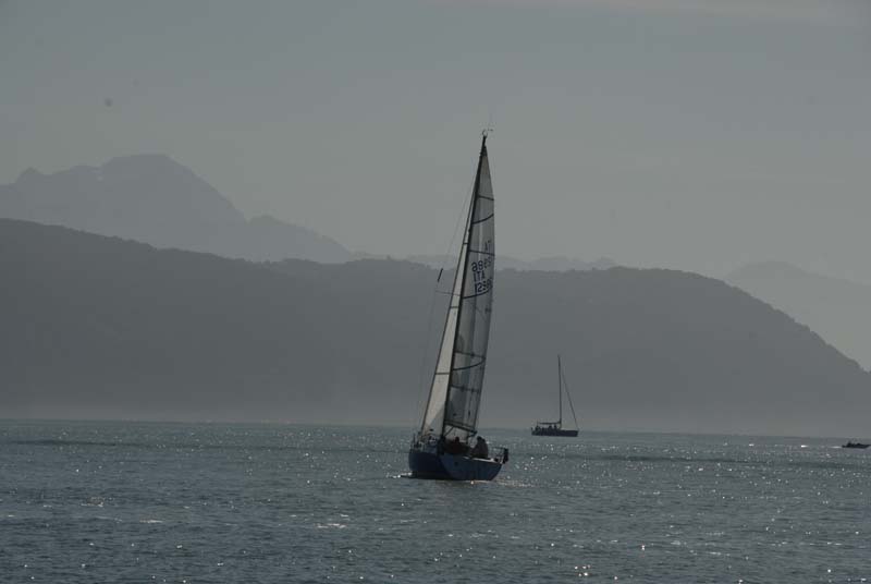 DSC_1931x