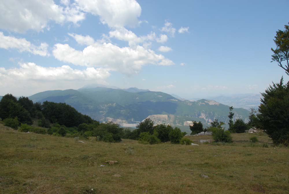 sopravvivenza 2008 - DSC_2947